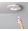 Ventilateur de Plafond Silencieux Dhalia Bois 58cm Moteur DC - 99193 - vue 1
