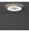 Ventilateur de Plafond Silencieux Dhalia Bois 58cm Moteur DC - 99193 - vue 2