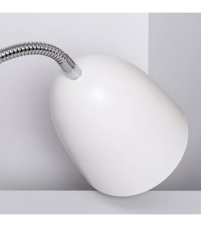 Lampe de Bureau Flex Métal Ripley Eret avec Pince - 75312 - vue 8