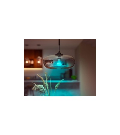 Ampoule Intelligente LED E27 13.5W 1200 lm A60 Hue White Color - 85909 - vue 6