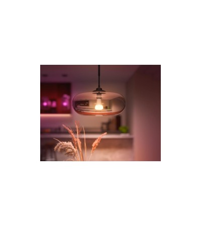 Ampoule Intelligente LED E27 13.5W 1200 lm A60 Hue White Color - 85909 - vue 7