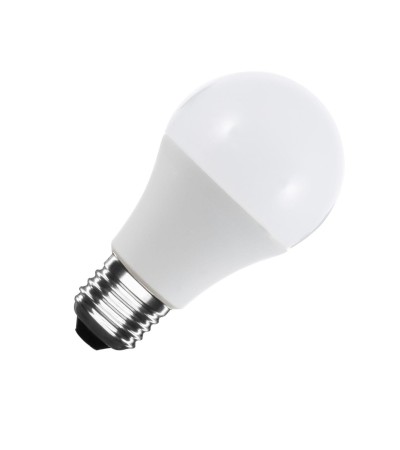 Ampoule LED 12/24V E27 6W 480 lm A60