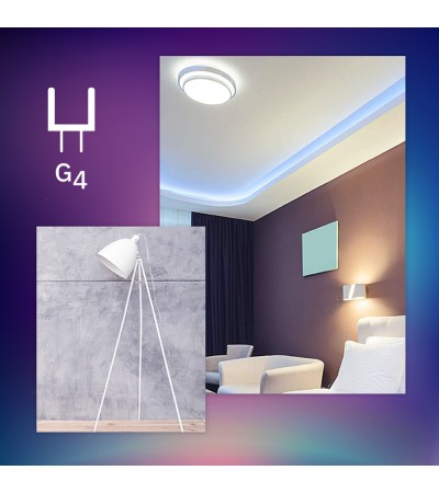 Ampoule LED 12V G4 2W 270 lm - 580 - vue 4